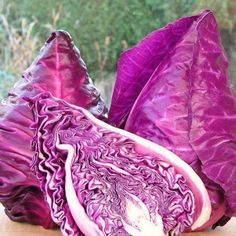 purple cabbage cut in half on a cutting board