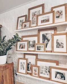 a wall filled with lots of framed pictures next to a potted plant