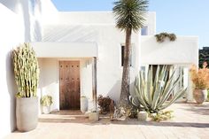 a white house with cactus and succulents in the front yard