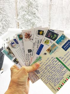 a person holding up several passport cards in the snow