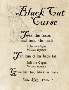 the black cat curse is written on parchment paper