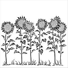 black and white drawing of sunflowers in the grass