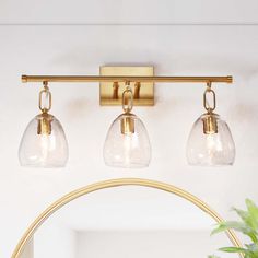 a bathroom vanity light with three lights and a mirror in front of it, next to a potted plant