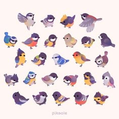 a bunch of birds that are standing in the middle of a circle on a white background