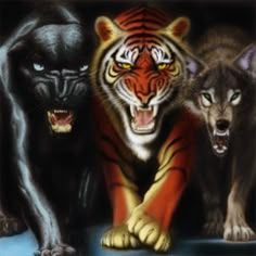 two tigers and a black cat with the words me and i