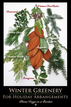 an image of a poster with words about winter greenery for holidays and christmas decorations