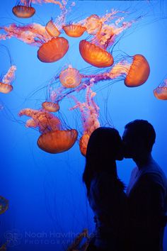 a man and woman kissing in front of an aquarium display with jellyfishs on it