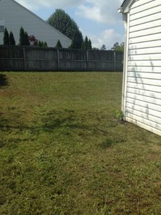 the back yard is empty and ready to be mowed