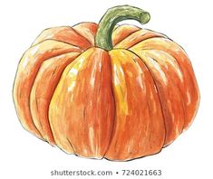 a drawing of a pumpkin on a white background