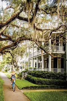 a woman riding a bike down a sidewalk next to tall trees covered in spanish moss