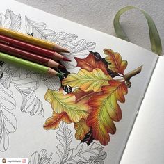 three pencils are sitting on top of an open coloring book with leaves and flowers