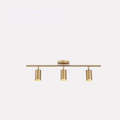 three light brass track lighting with dimmers on the side and white background in front