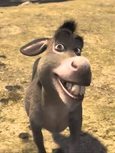 a donkey standing on top of a dry grass field