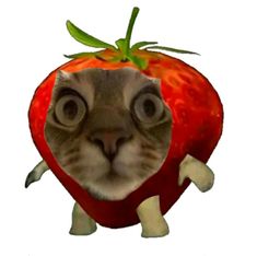 a cat is looking through the hole in a strawberry