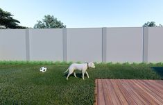 a dog that is standing in the grass with a soccer ball behind it and a fence