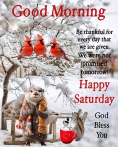 an image of a happy saturday card with birds on the tree and cardinals in the background