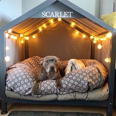 a dog laying on top of a bed covered in blankets and pillows with lights around it