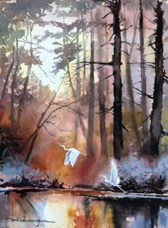 watercolor painting of swans flying in the woods