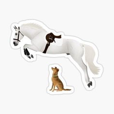 a white horse with a brown dog sitting next to it