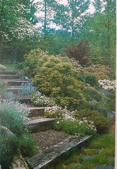 an old photo of some steps in the woods with flowers growing on them and trees