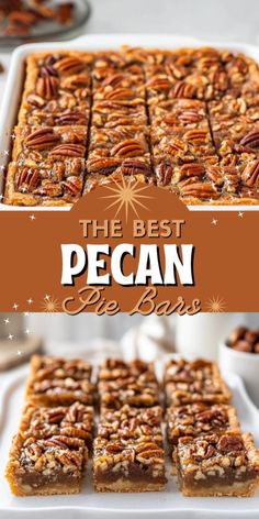 the best pecan ever bakes