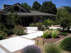 a house with landscaping in front of it and lots of plants around the outside area