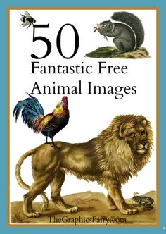 the book cover for 50 fantastic free animal images with an image of a lion and a mouse