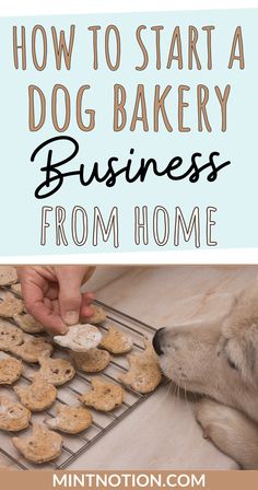 how to start a dog bakery business from home