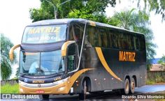 a black and yellow bus driving down a street with trees in the backgroud