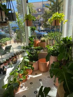 many potted plants are on the windowsill