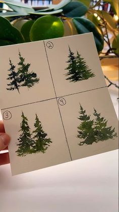 a person holding up four pictures of trees