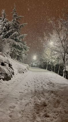 a snow covered road with trees and street lights in the distance at night, on a snowy day