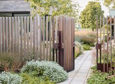 an outdoor garden with wooden fences and plants