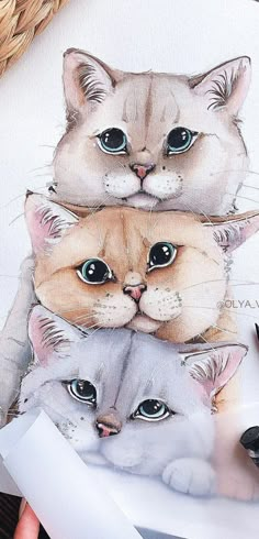 a drawing of three cats with blue eyes