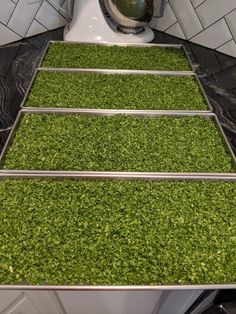 three rows of green grass in front of a blender on top of a counter