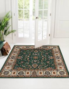 a green rug in front of a white door with potted plants on the floor