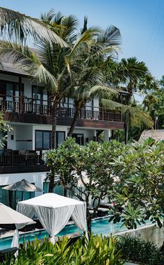 an outdoor swimming pool surrounded by palm trees and lawn chairs with white canopy over it