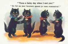 three black cats standing next to each other on top of a yellow ground with words written below