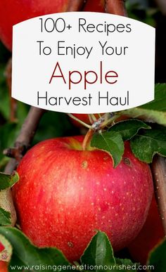 an apple tree with the words 100 + recipes to enjoy your apple harvest haul