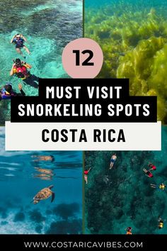 some people swimming in the ocean with text overlay that reads 12 must visit snoreling spots costa rica