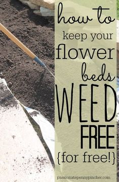 How to Keep Your Flower Beds Weed-Free (for free!) #flowergardening Flower Beds Diy, Money Saving Mom, Garden Weeds, House Landscape, Gardening Tools, Landscape Ideas, Lawn And Garden