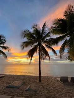 two palm trees on the beach at sunset