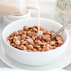 a person pouring milk into a bowl full of dog food on a white tablecloth