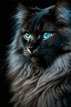 a black cat with blue eyes looking at the camera while sitting in front of a dark background