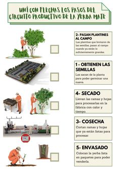 an info sheet describing the different types of trees and how they are used to grow them