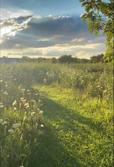 the sun shines brightly through the clouds over a field with wildflowers and grasses