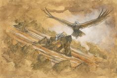 a drawing of a man on top of a mountain with a bird flying over him