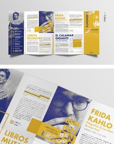 an open brochure with yellow and blue colors on the front, inside and outside