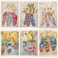 four paintings of corn on the cob