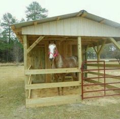 a horse is standing in the stable with its head sticking out from it's stall